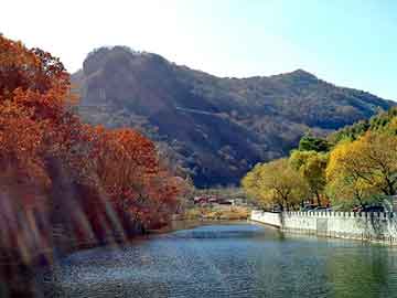 澳门红姐论坛精准两码300期，沈阳厚地